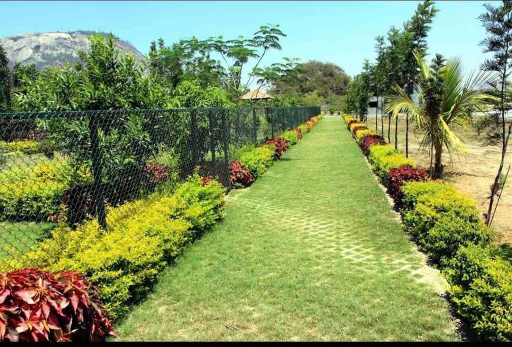 A Glass Haven , Nandi Hills Nandigunda المظهر الخارجي الصورة
